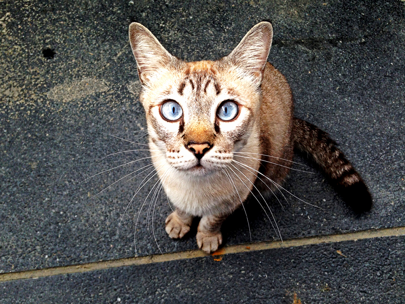 Miao San Is Interested