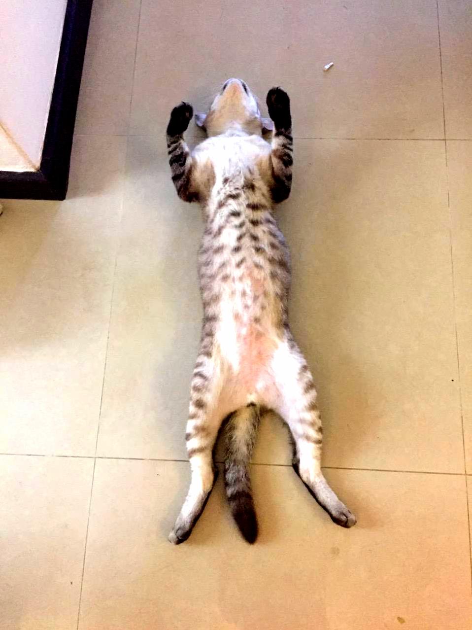 Miao San Is Just Relaxing