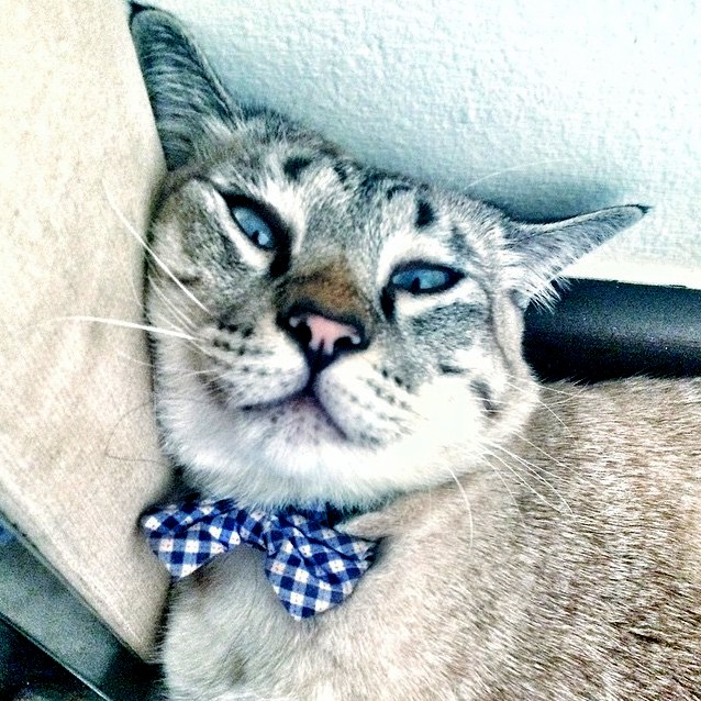 Miao San Relaxes