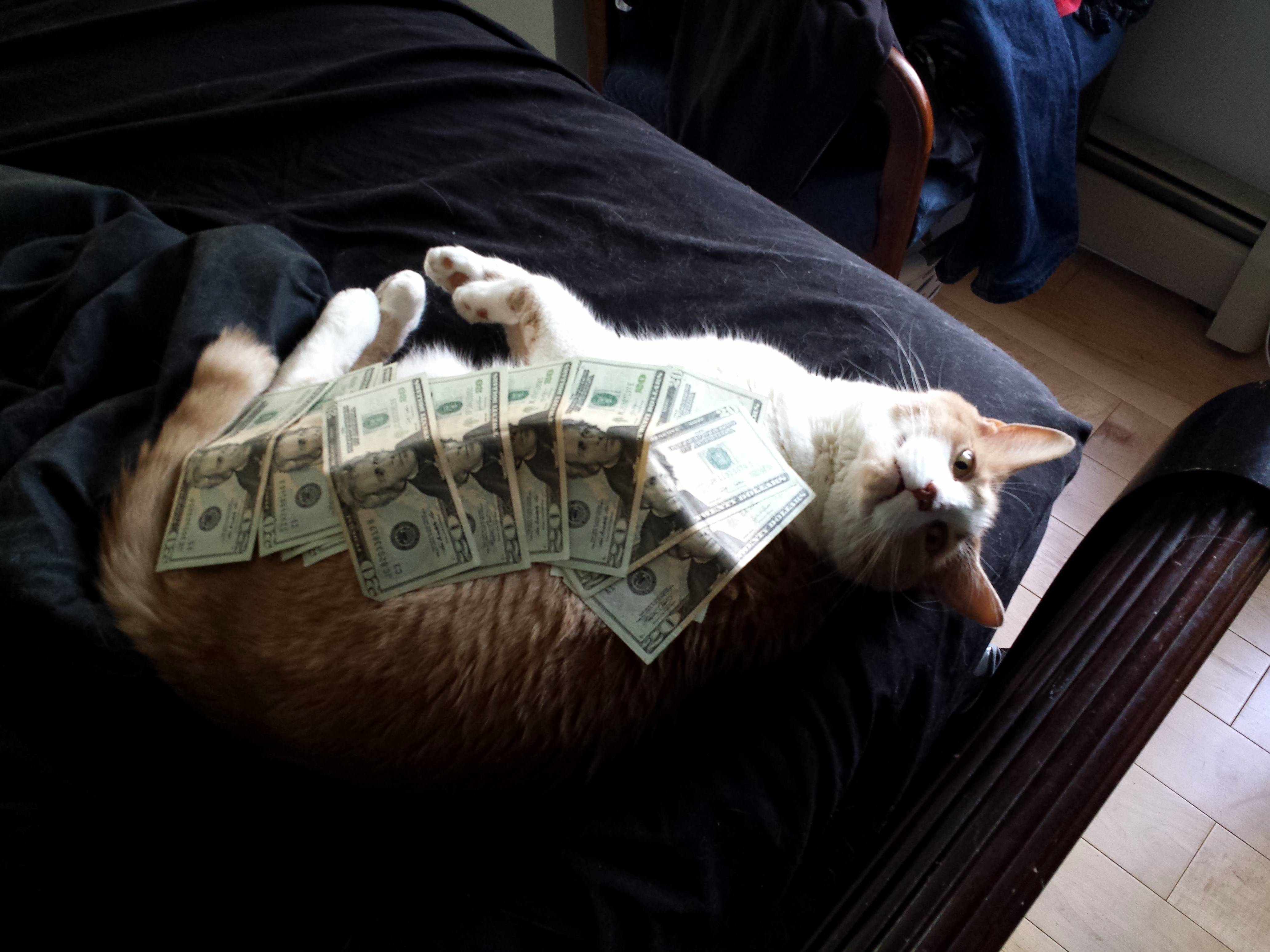 Money Respect