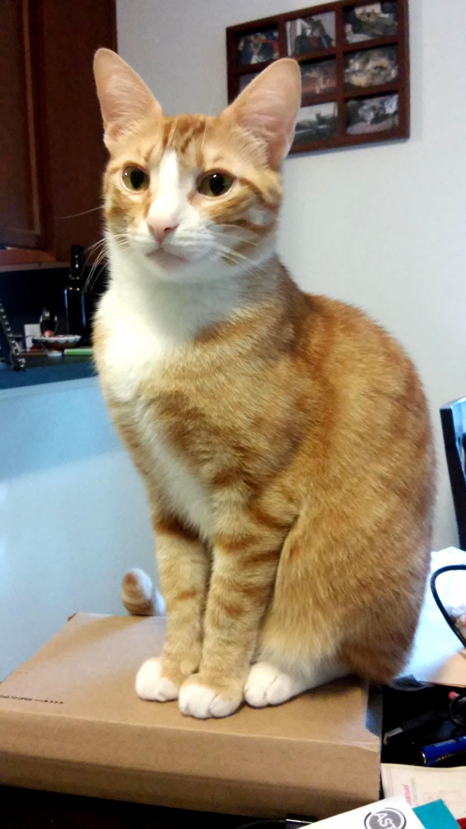 Morning Shift Supervisor Reporting for Duty.