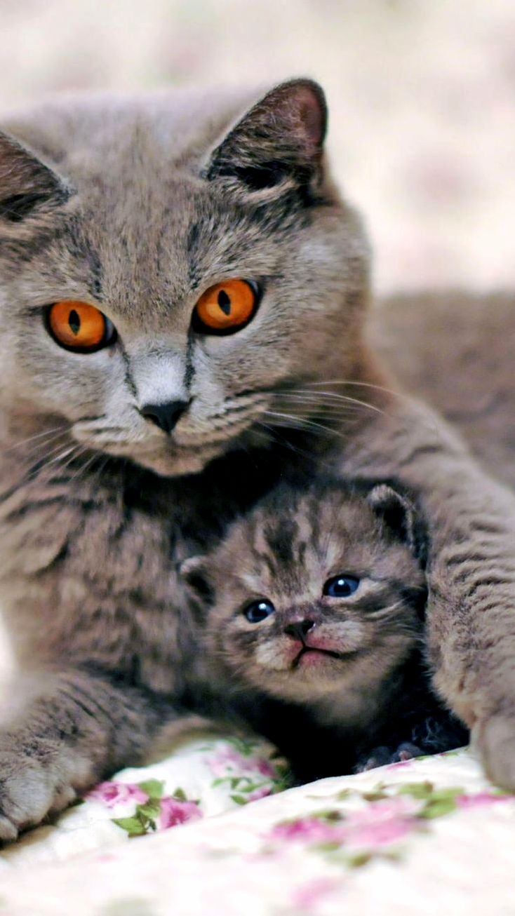 Mum and Baby