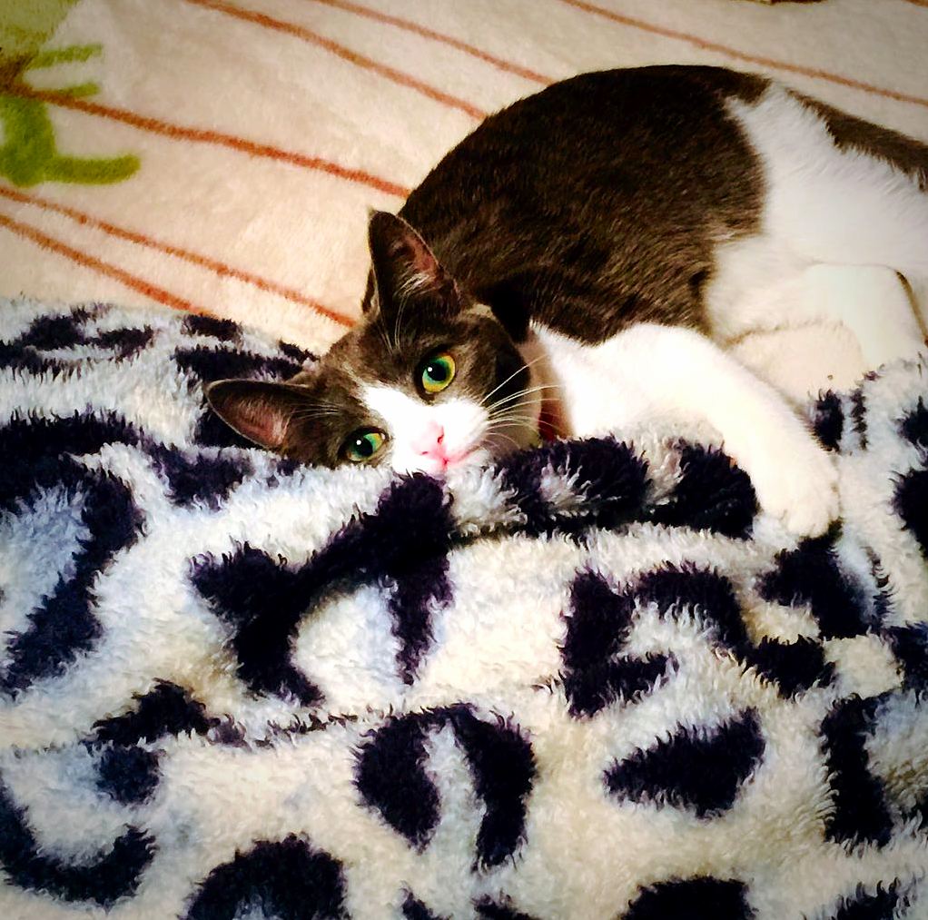 My Blanky