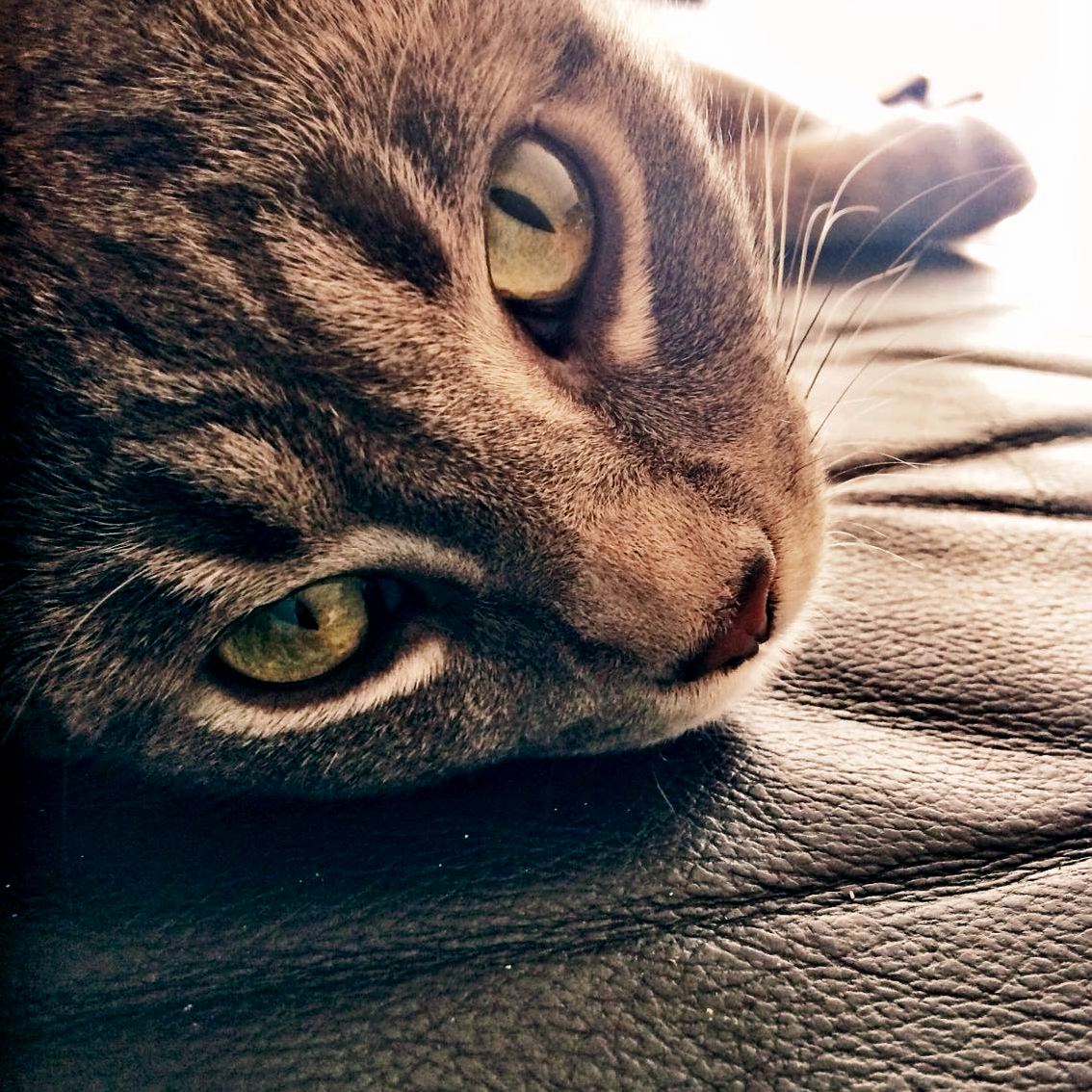 My Boy Relaxing