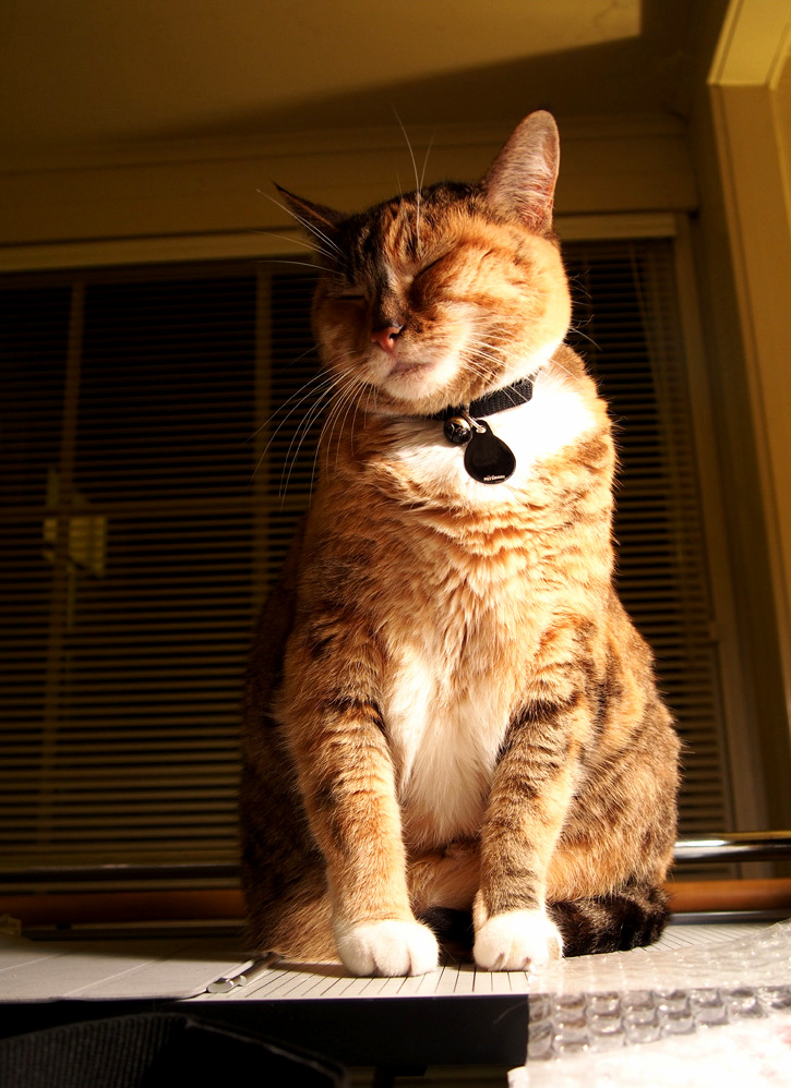 My Friend Enjoying a Warm Light