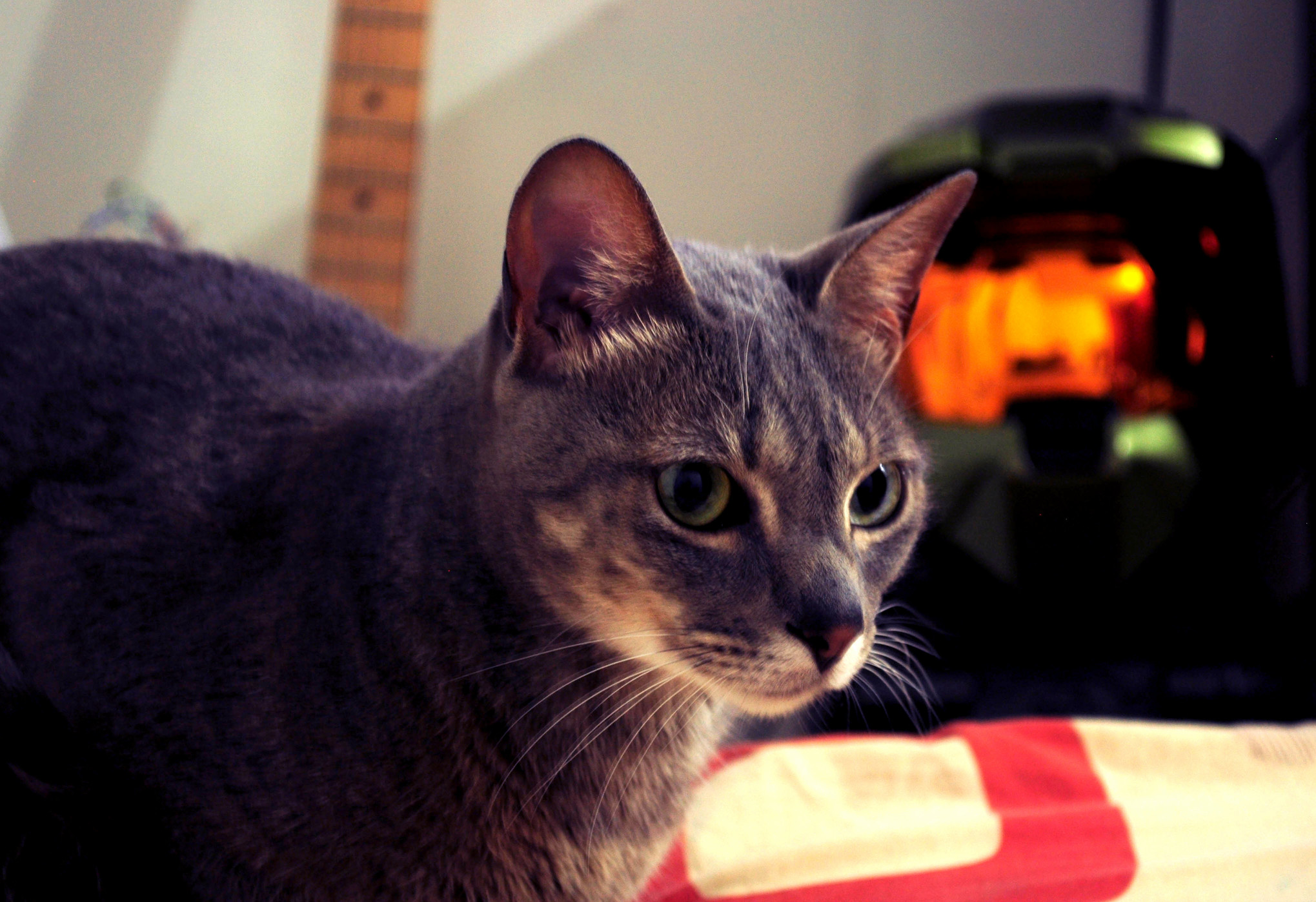 My Little Girl