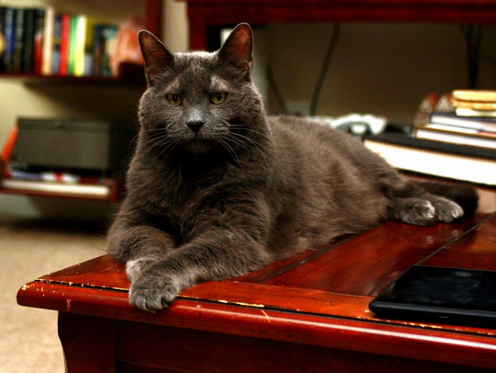 My Regal Old Man