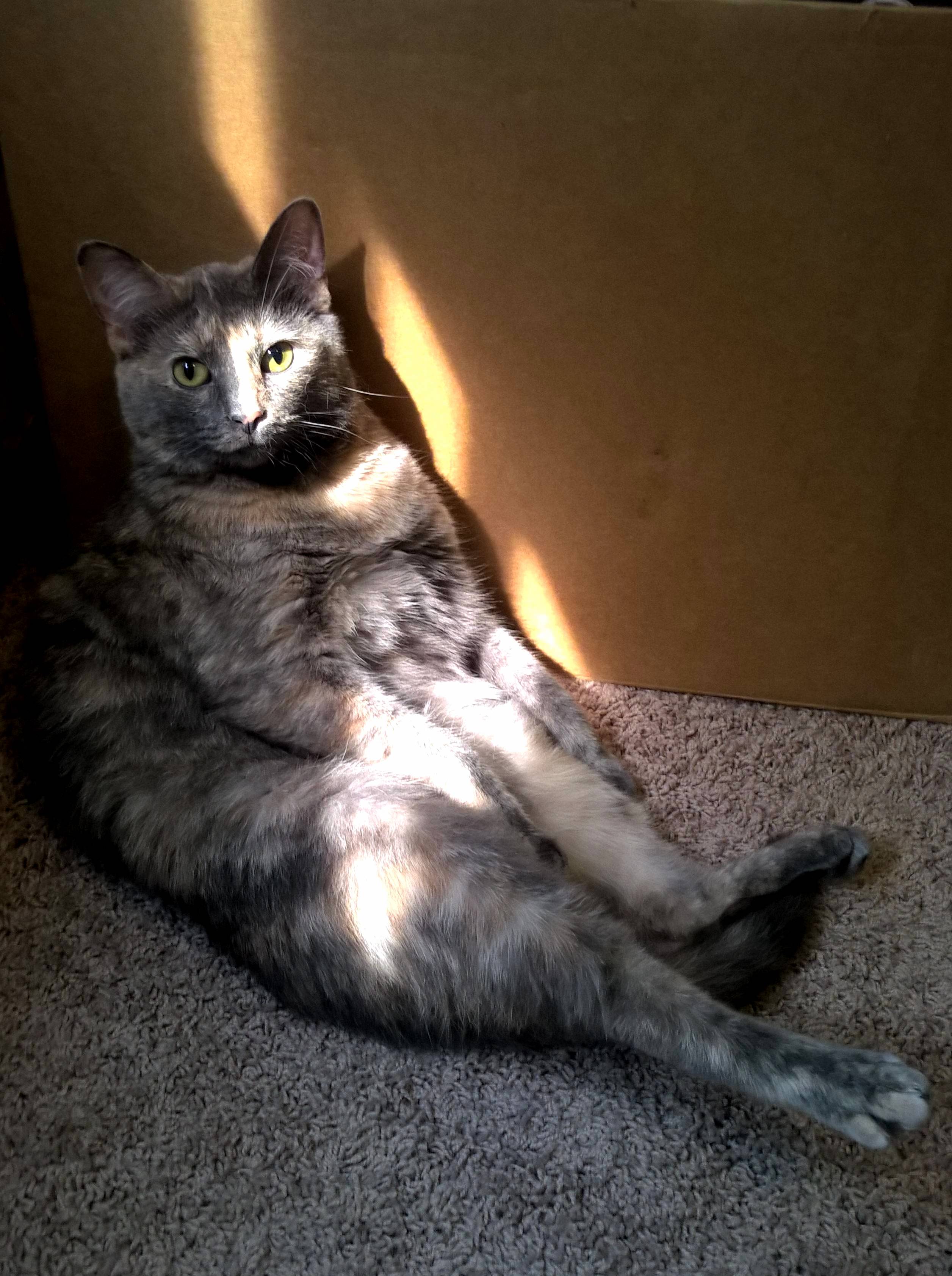 Myrtles a Little Weird