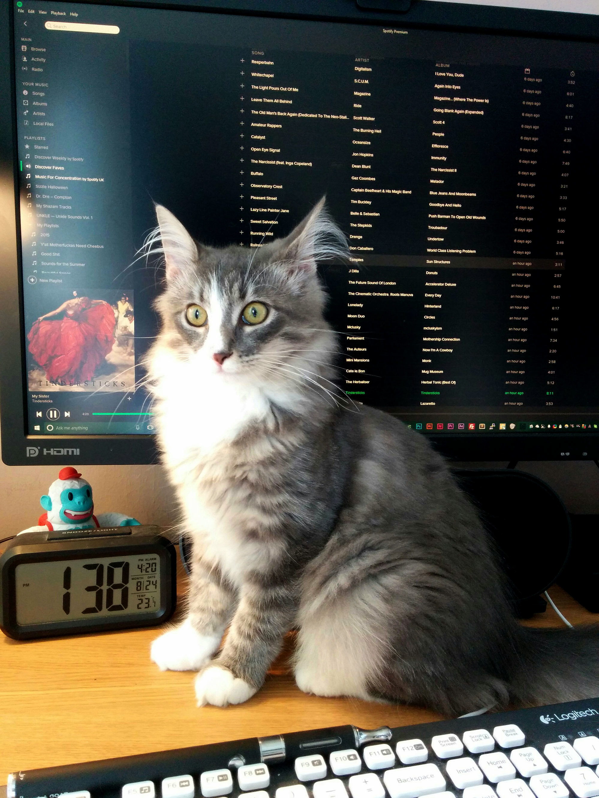 Not Sure If Ripley Likes My Taste in Music