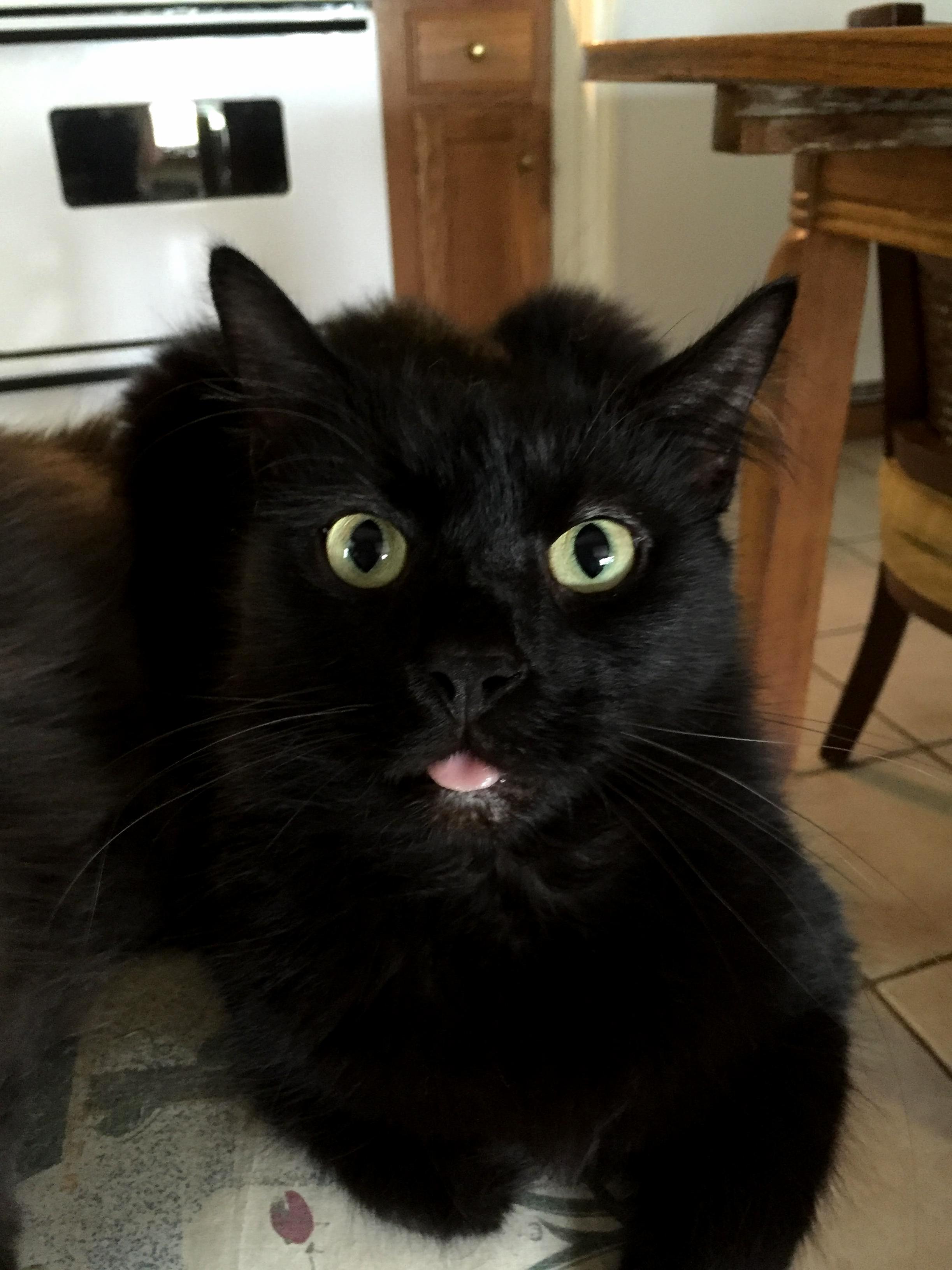 Otis Says Ppppppbbbbtttttt.