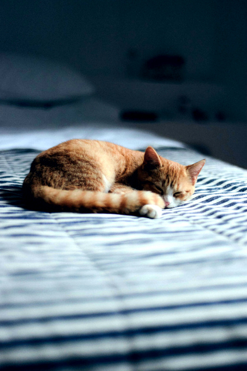 Peaceful Sleep