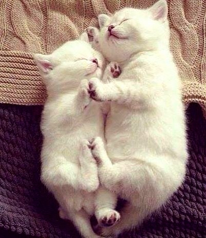 Perfect Hug