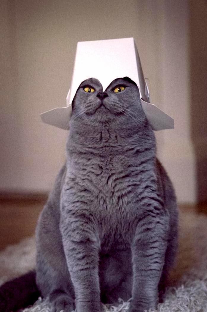 Ready for Battle