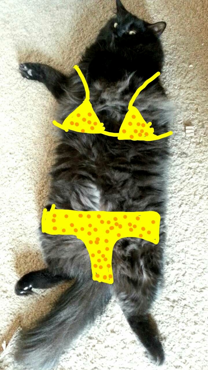 Ready for Summer