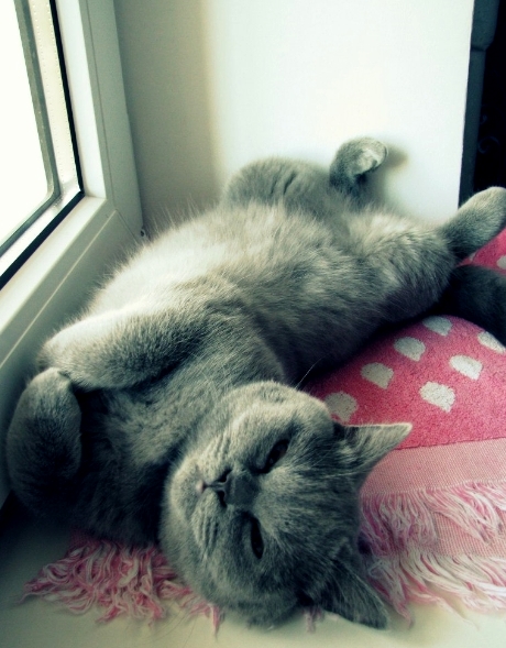 Relax