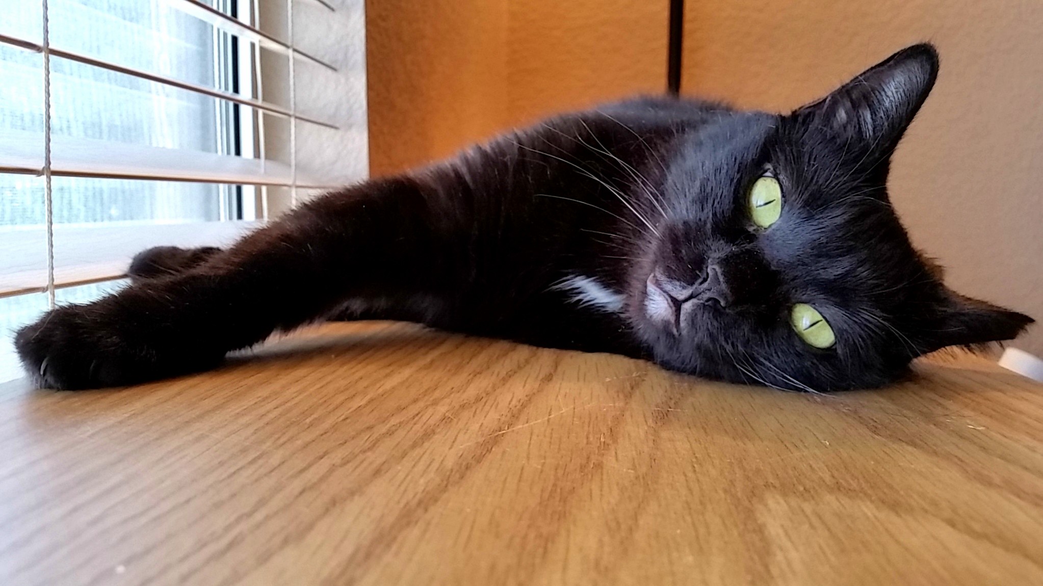 Relaxing by the Window