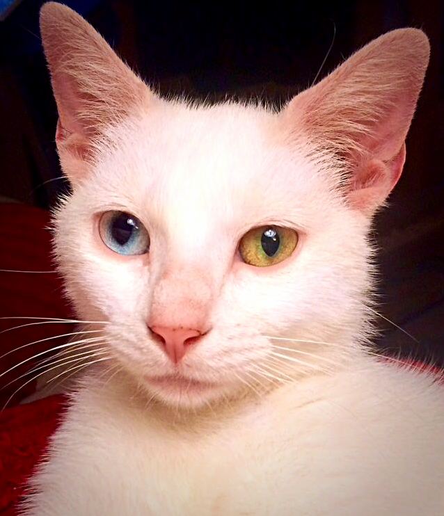 Rescued This Girl from the Streets She Is Quite a Character