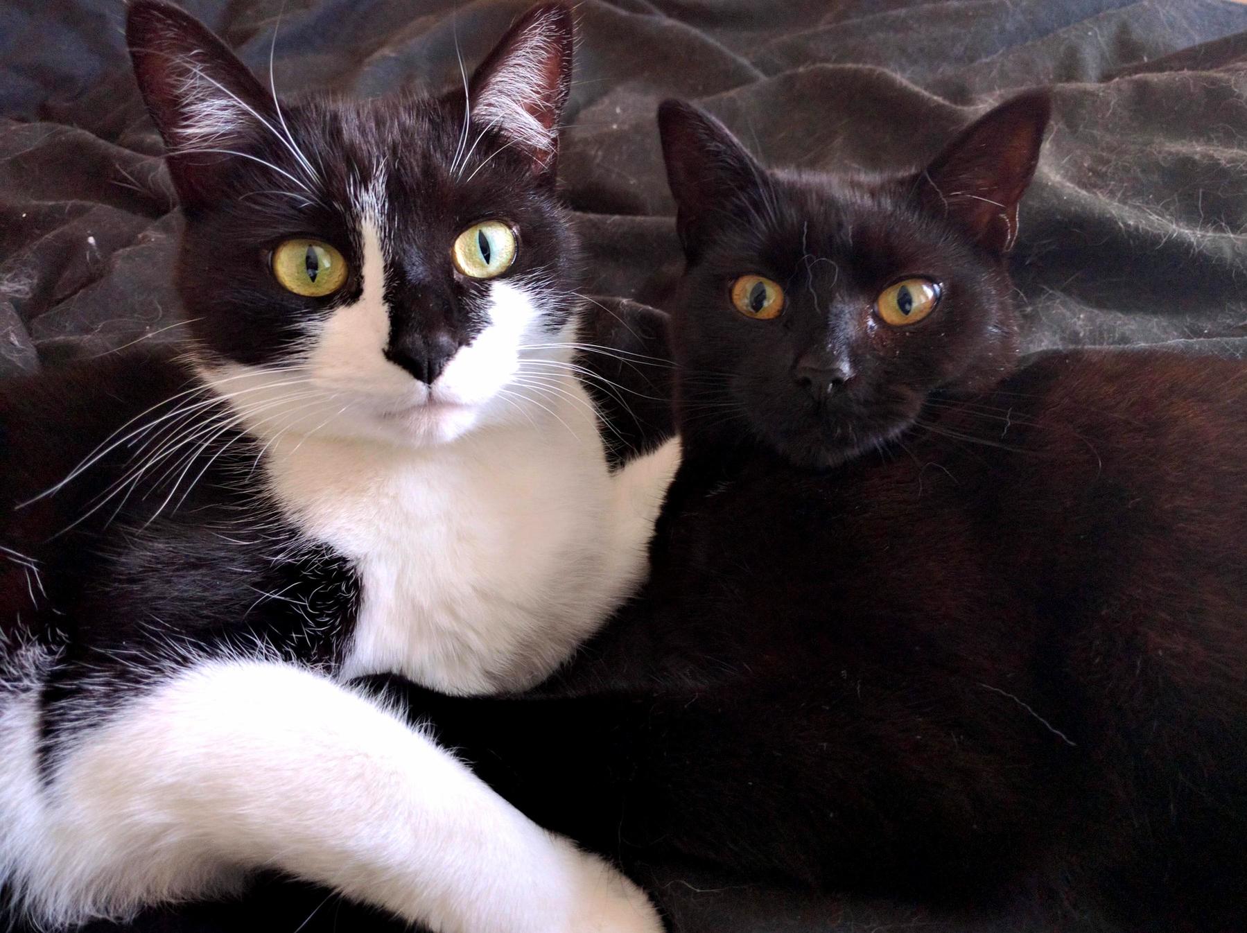 River and Luna