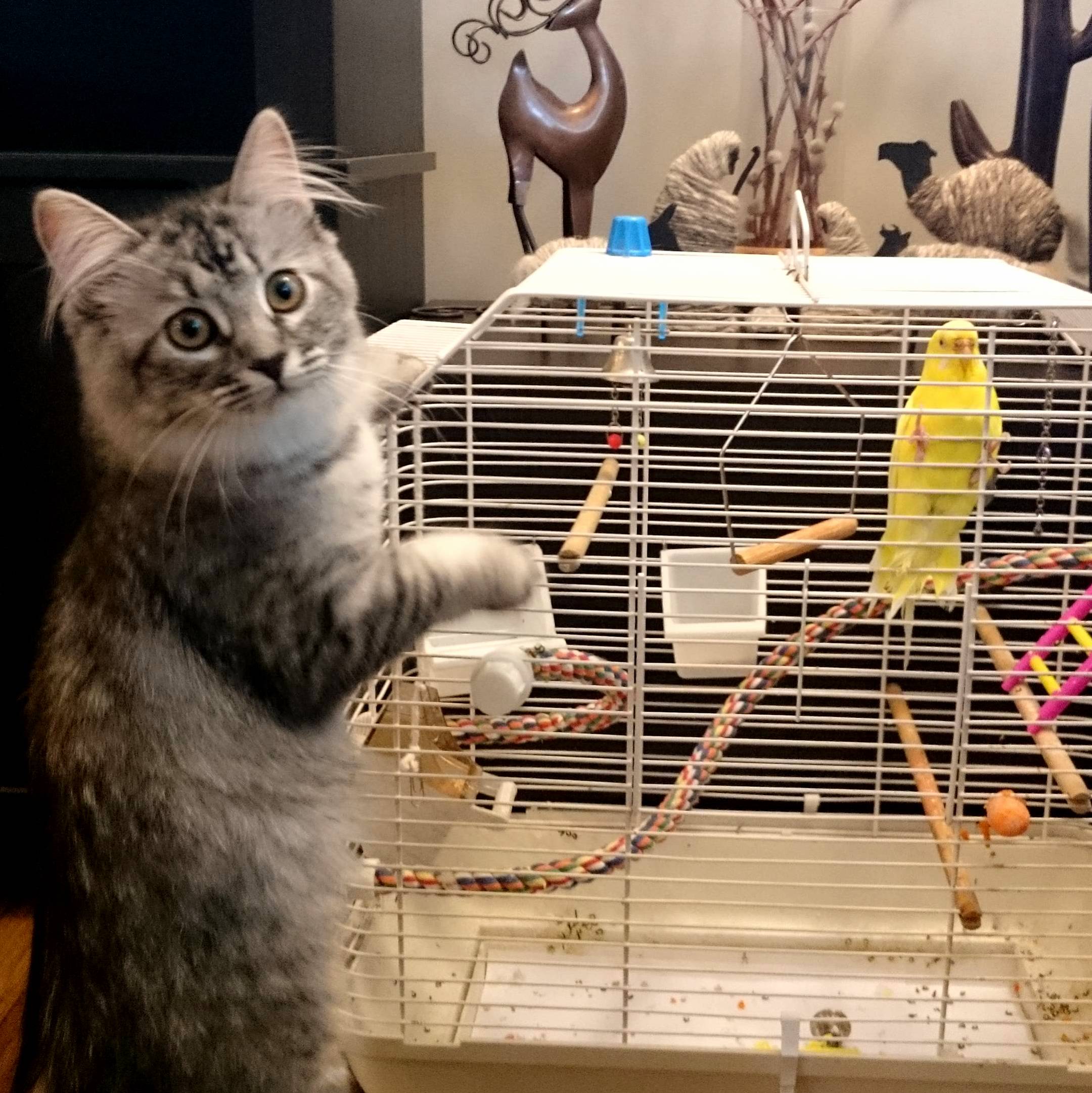 Sabe and Her New Friend
