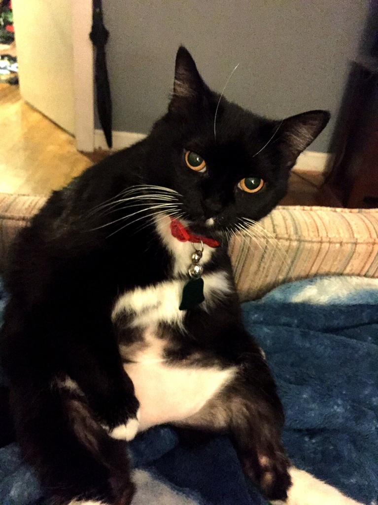 She Looks Like a Fat Dude.