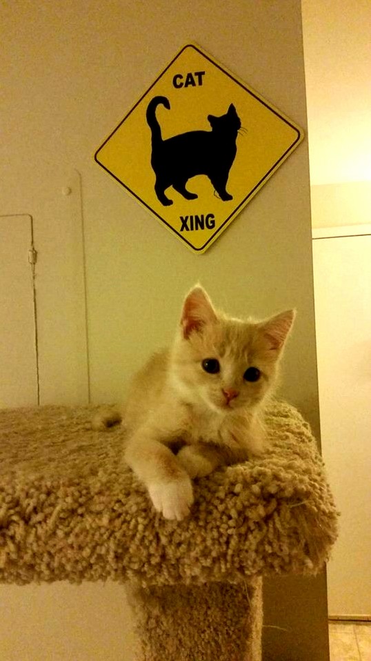 She Made It to the Top