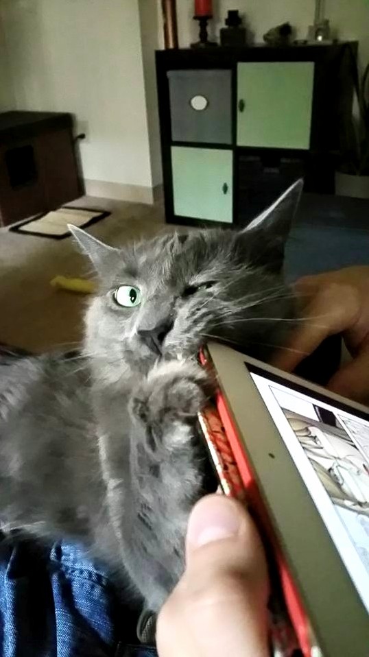 She Really Does Love to Chew on Our Expensive Electronics.