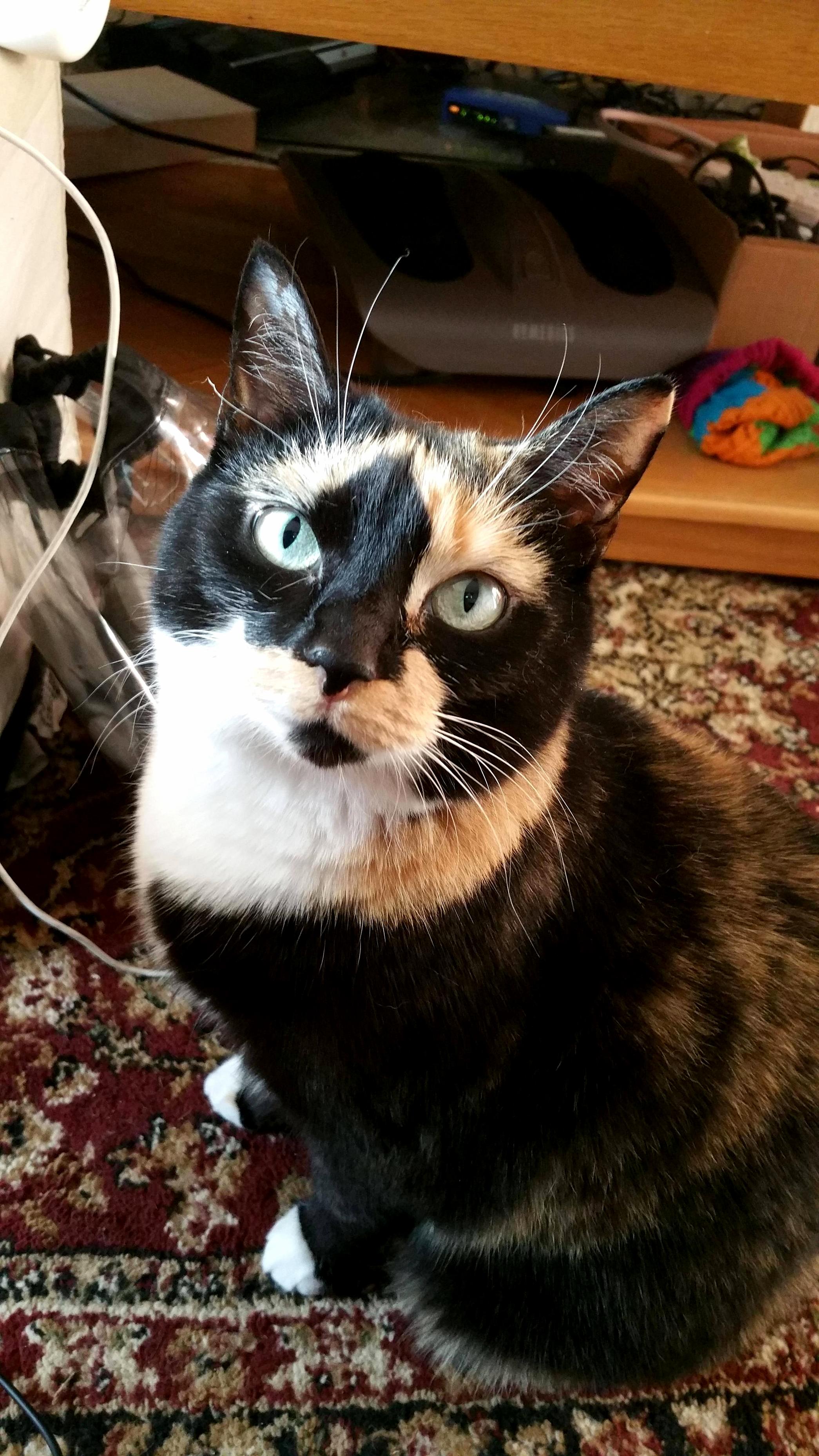 She Was Begging for My Pringle...