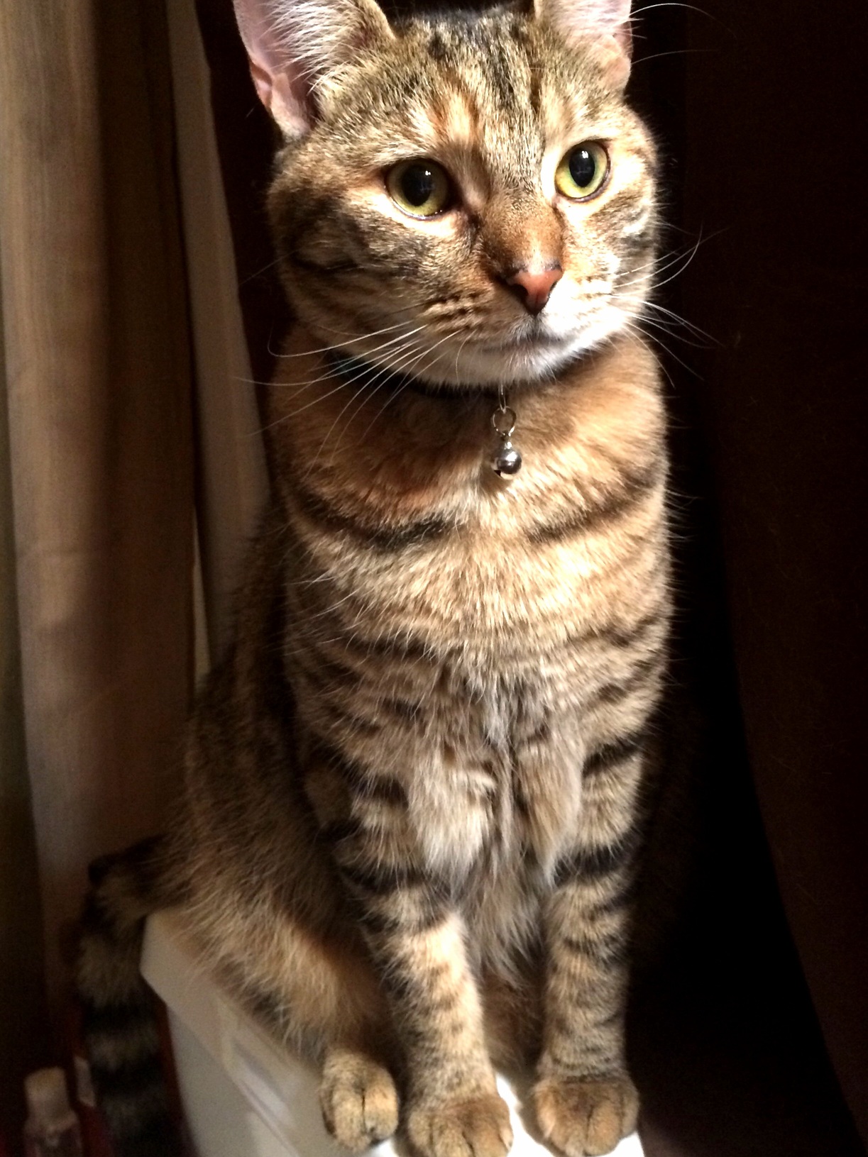Shes Beauty and Shes Grace