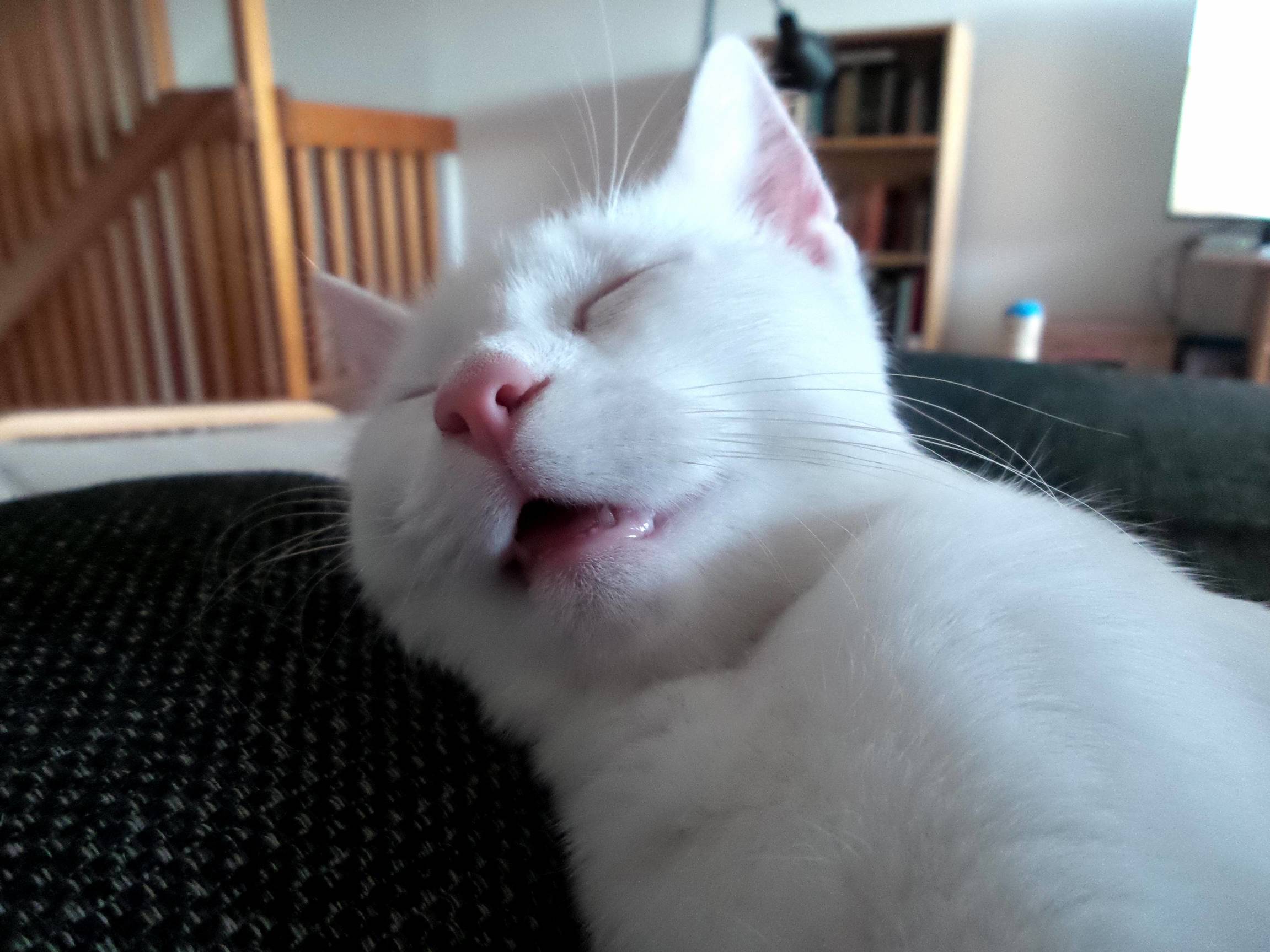 Shes Not the Most Attractive Sleeper...