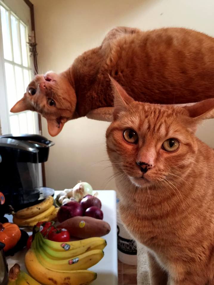Sisters Hangin Out