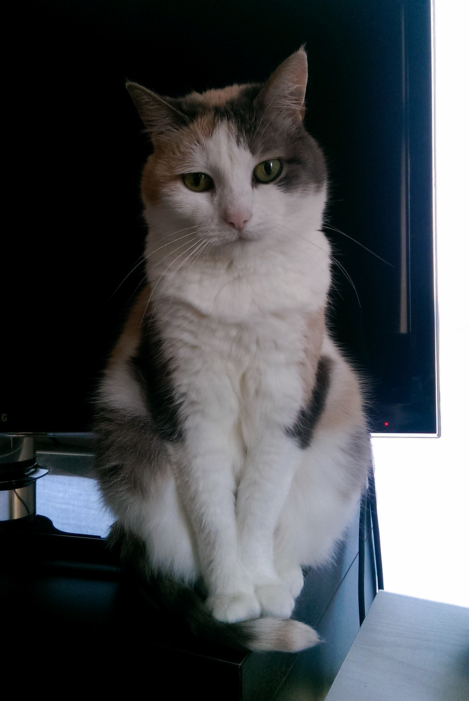 Sitting Like a Classy Lady Like She Always Does.