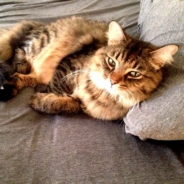 Sleeping on My Pillow