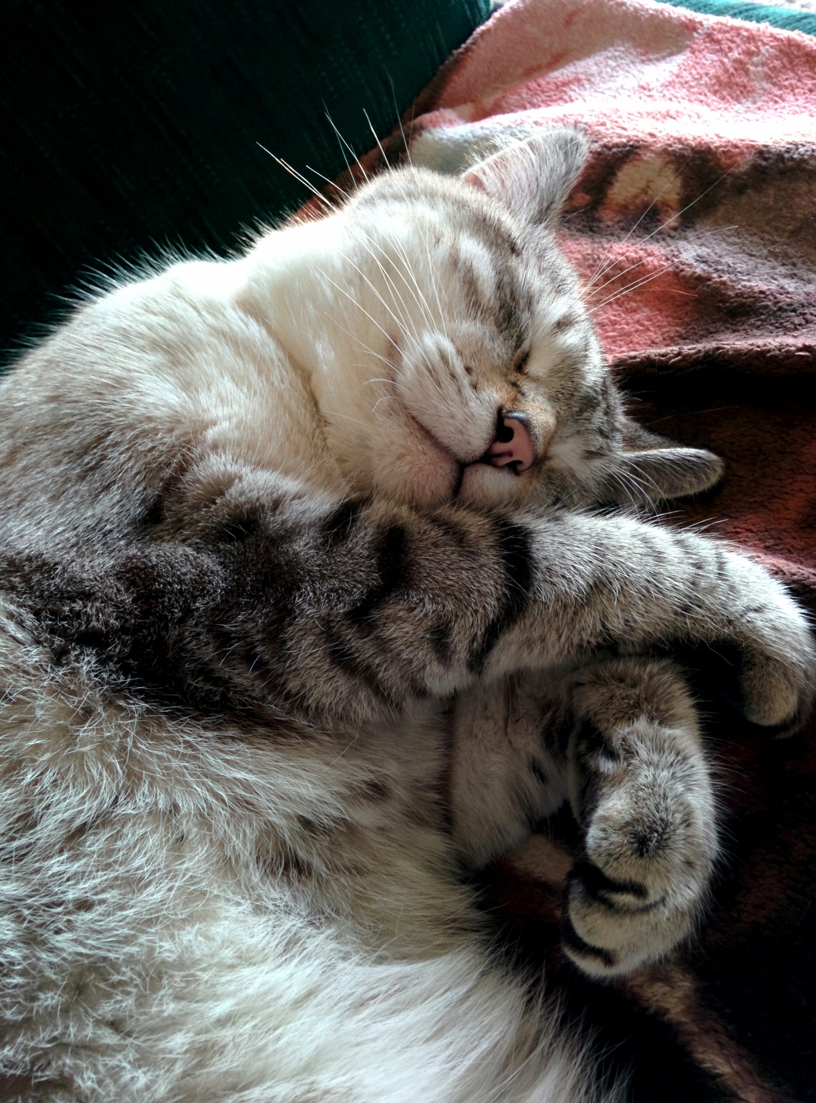 So Comfy