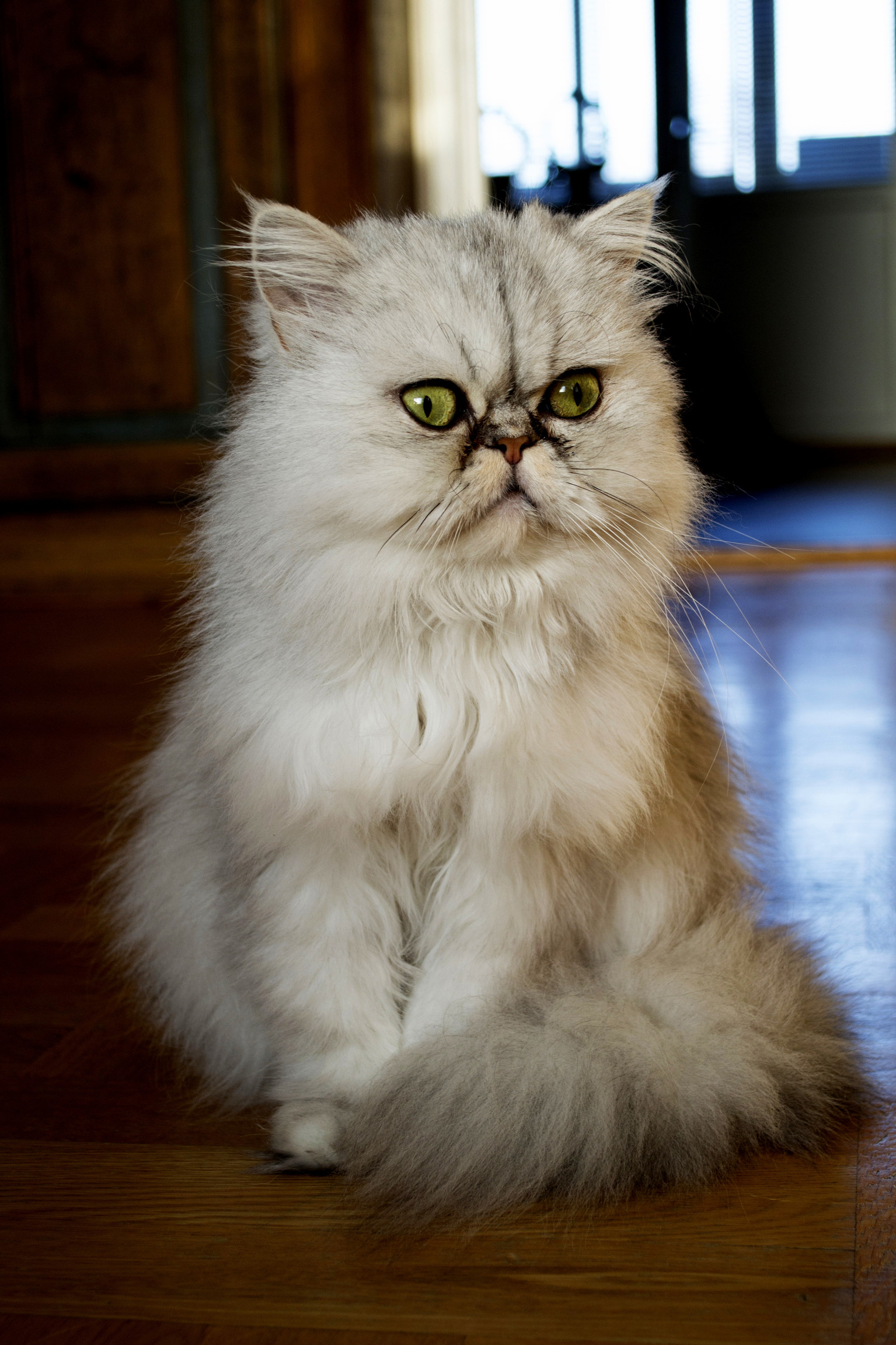 So Much Fluff