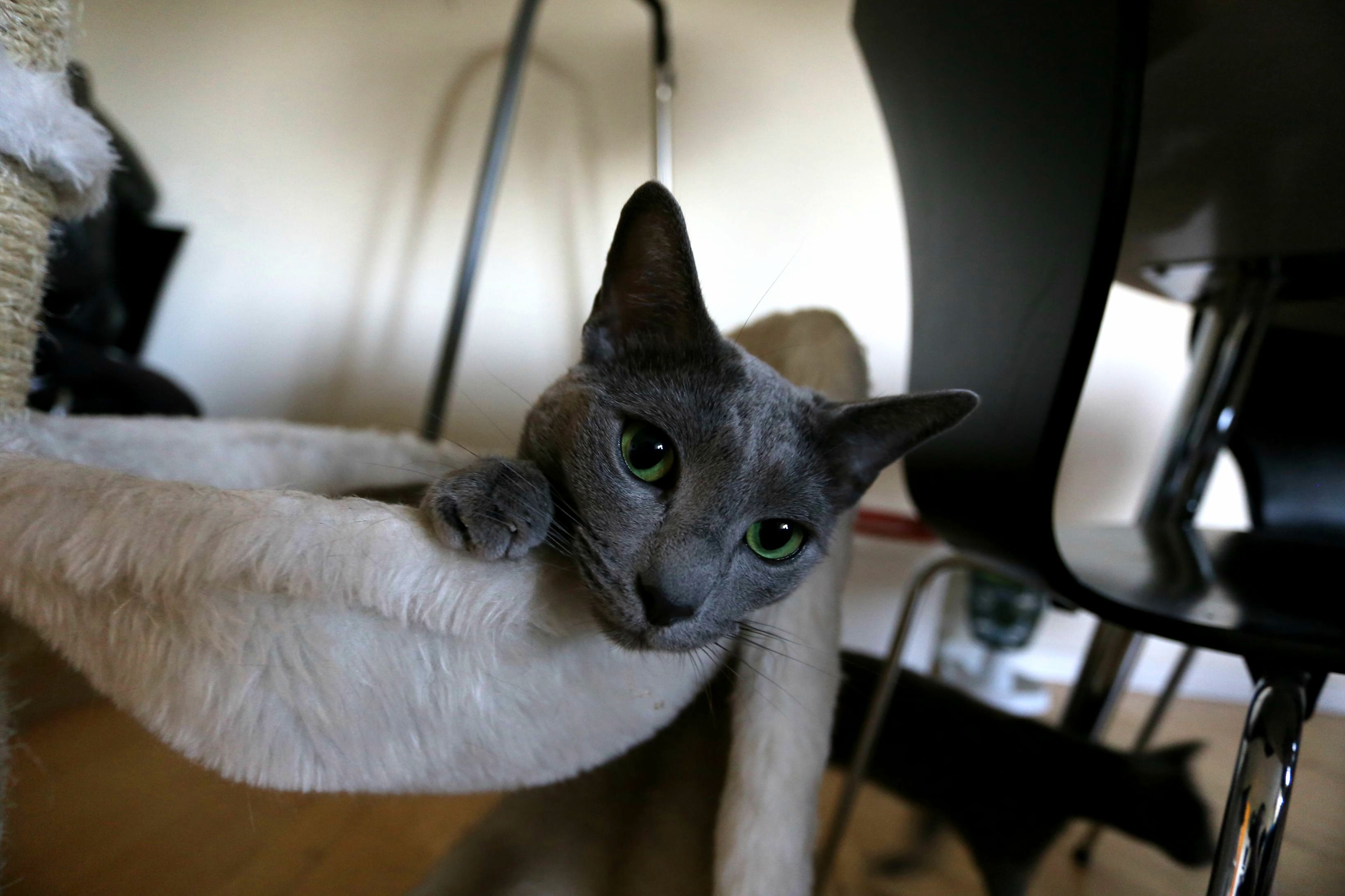 So Photogenic 3