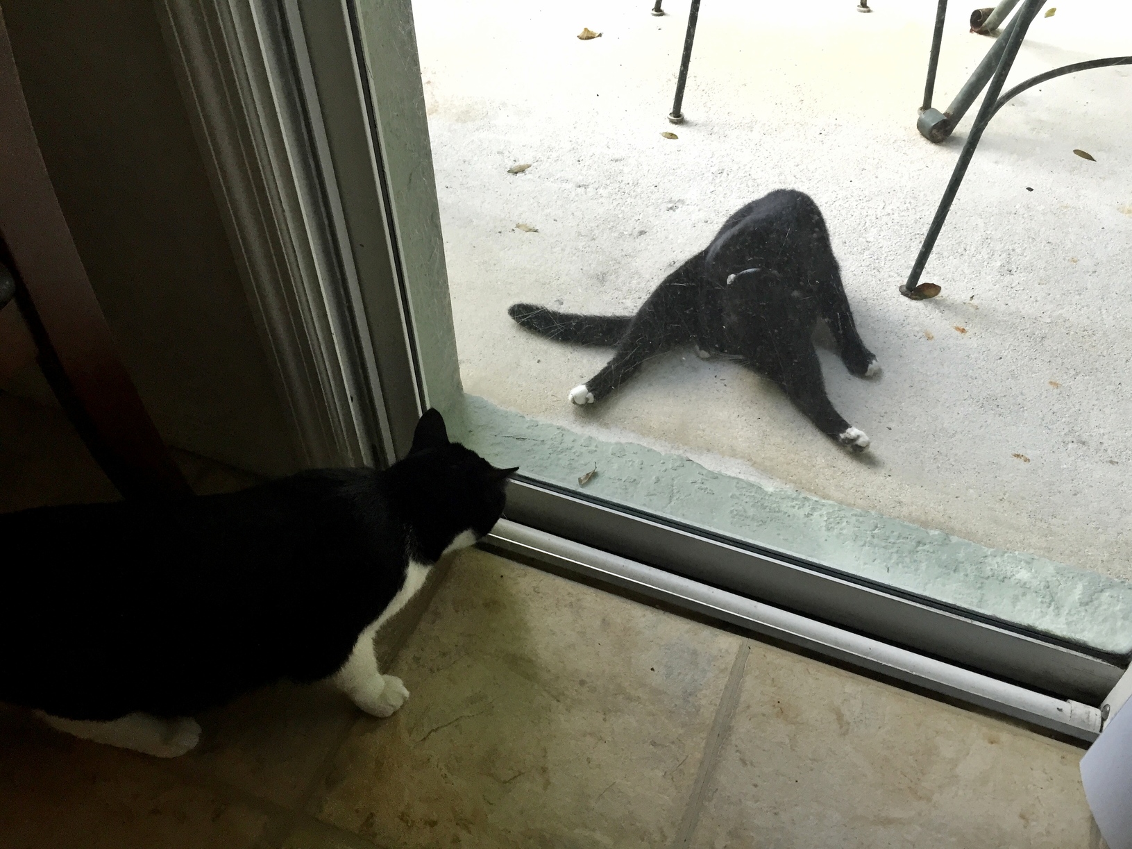 Some Pervert Decided to Expose Himself to My Little Girl Yesterday.