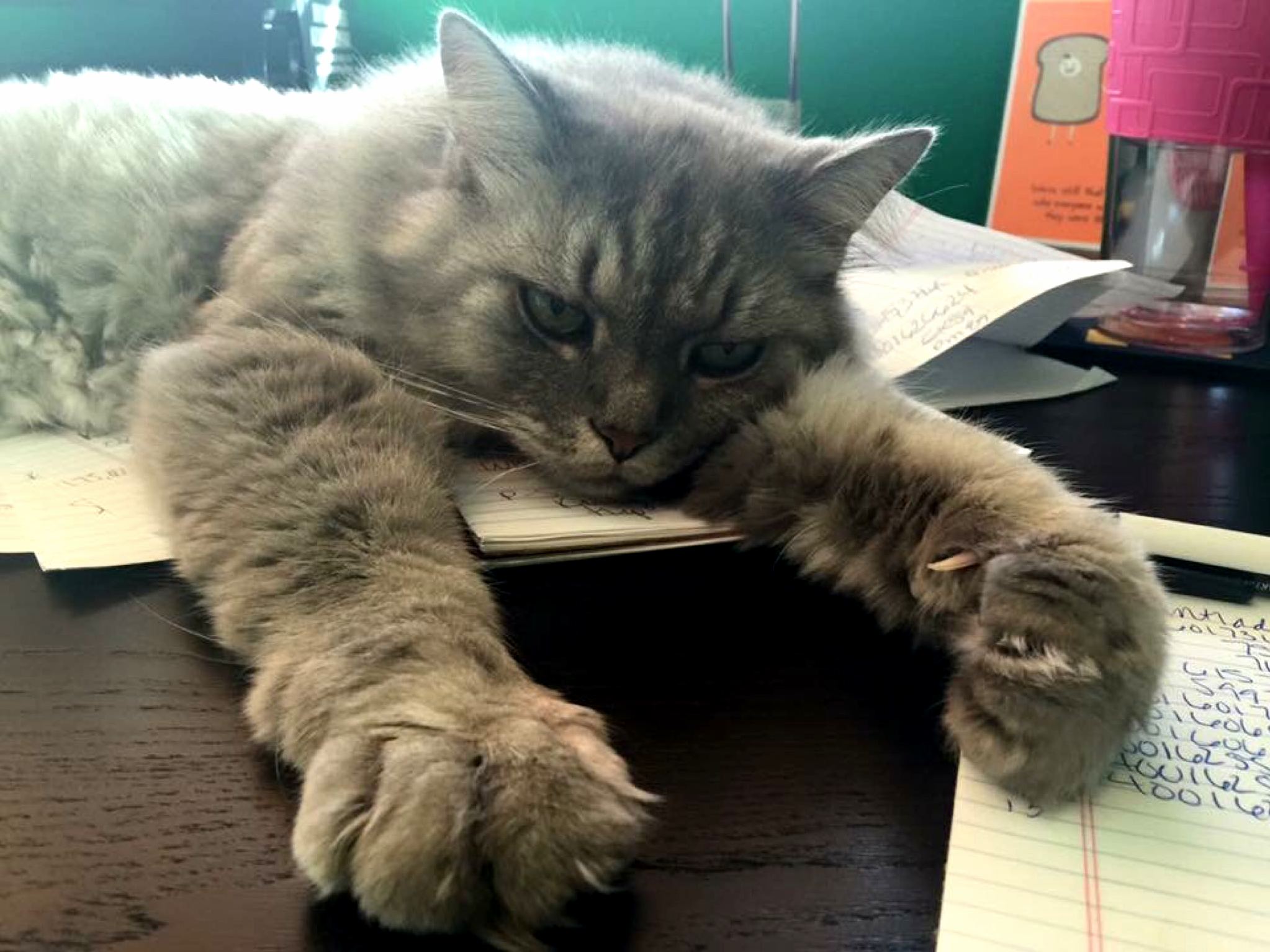 Somebody Has a Case of the Mondays