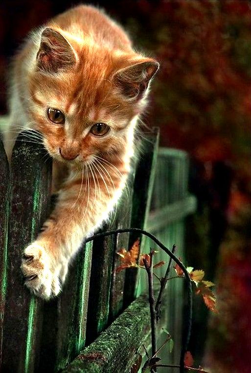 Someone Is a Bit Curious