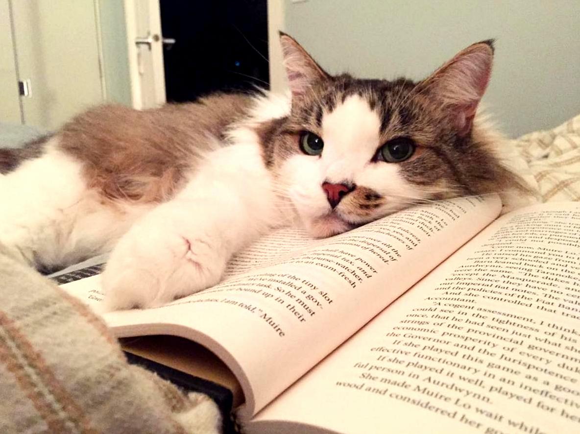 Someone Wouldnt Let Me Read Last Night