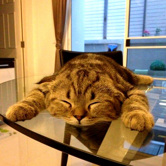Squished