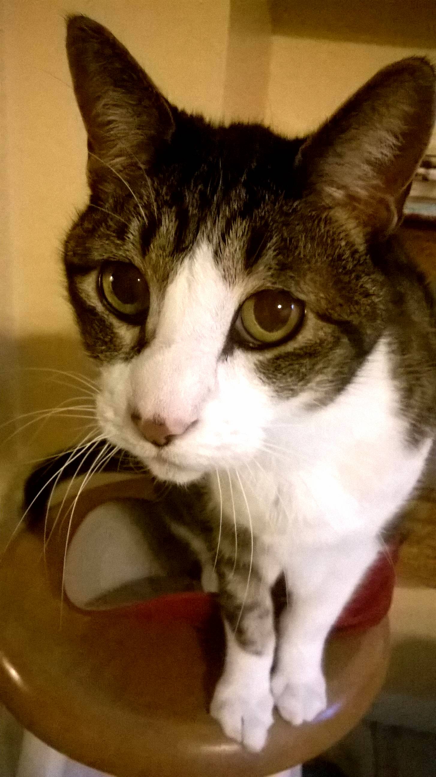 Still a Big Baby at 14