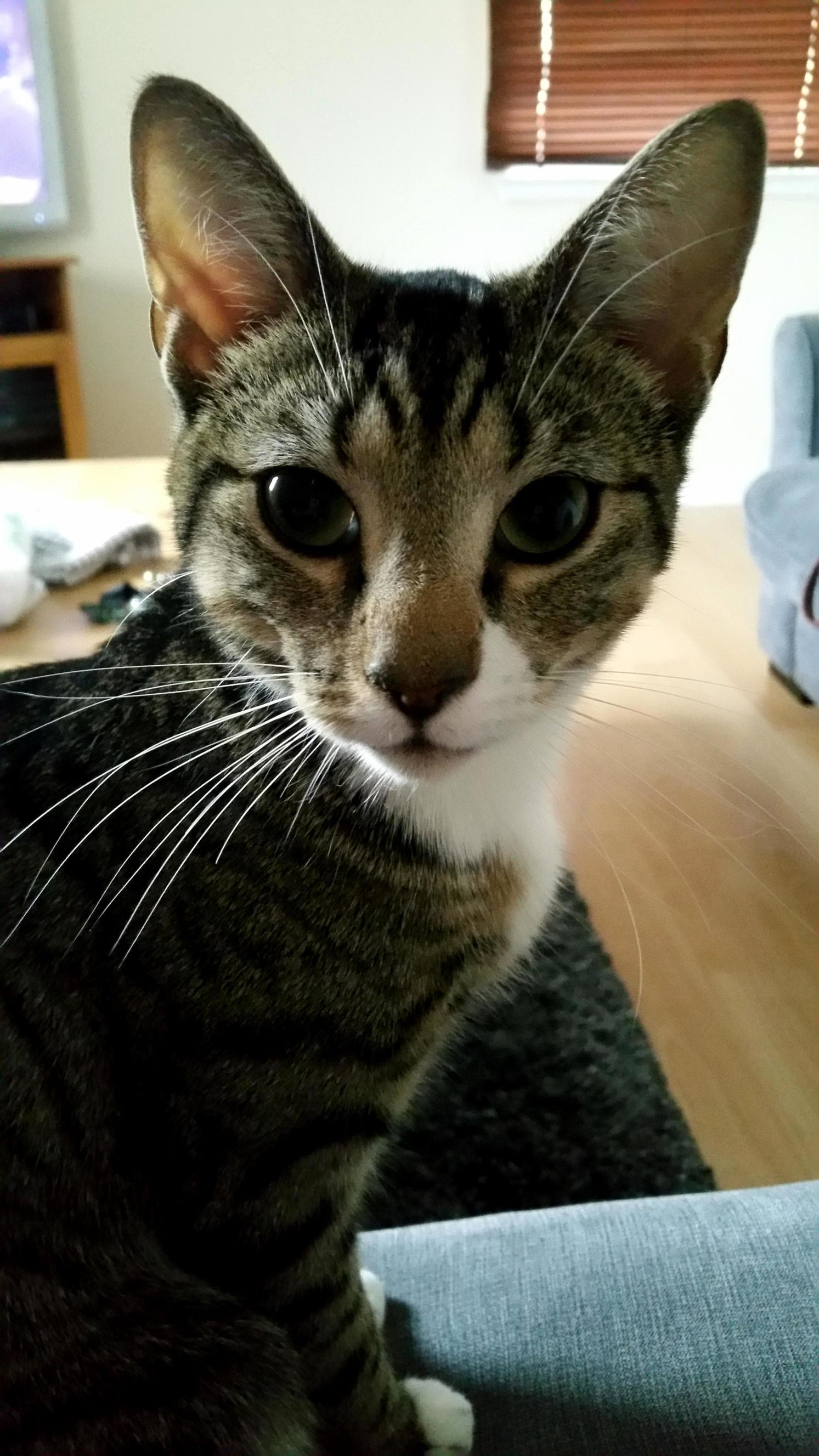 Stuck at My Girlfriends Flat Tonight with Thus Little Beauty.