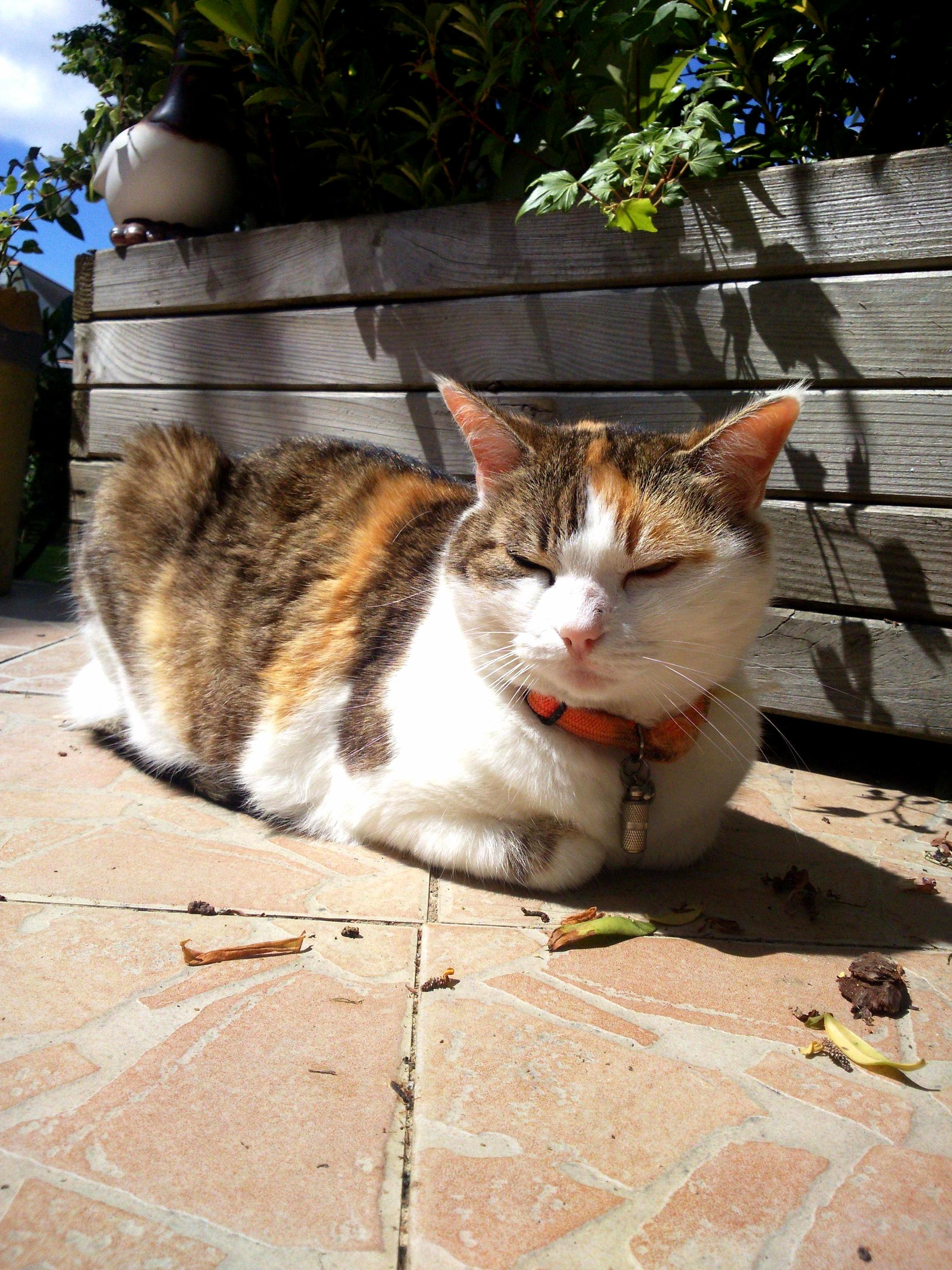 Sun Bathing
