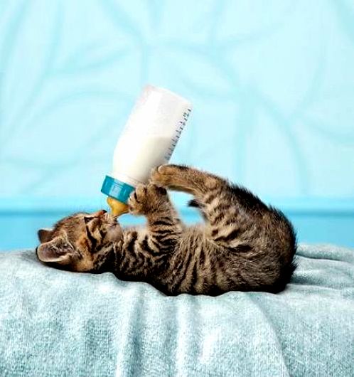 That Age When They Can Hold Their Own Bottle