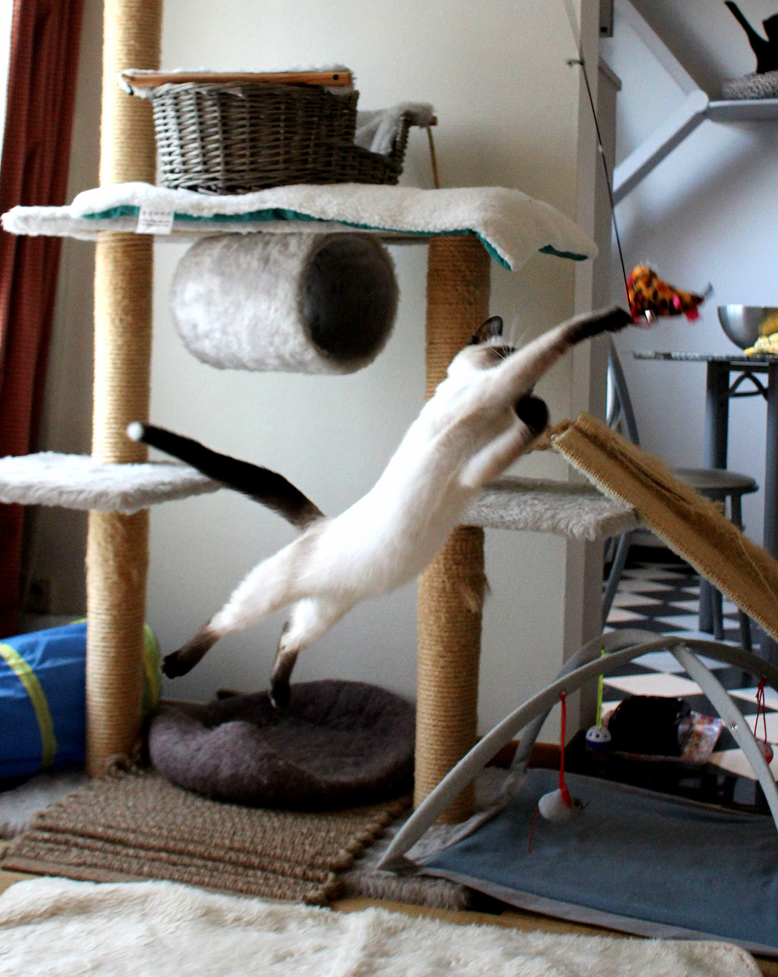 That Ll Do Kitty That Ll Do.