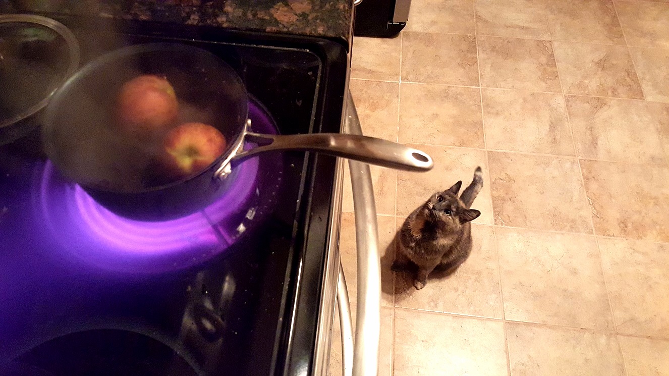 The Pot Never Boiled.