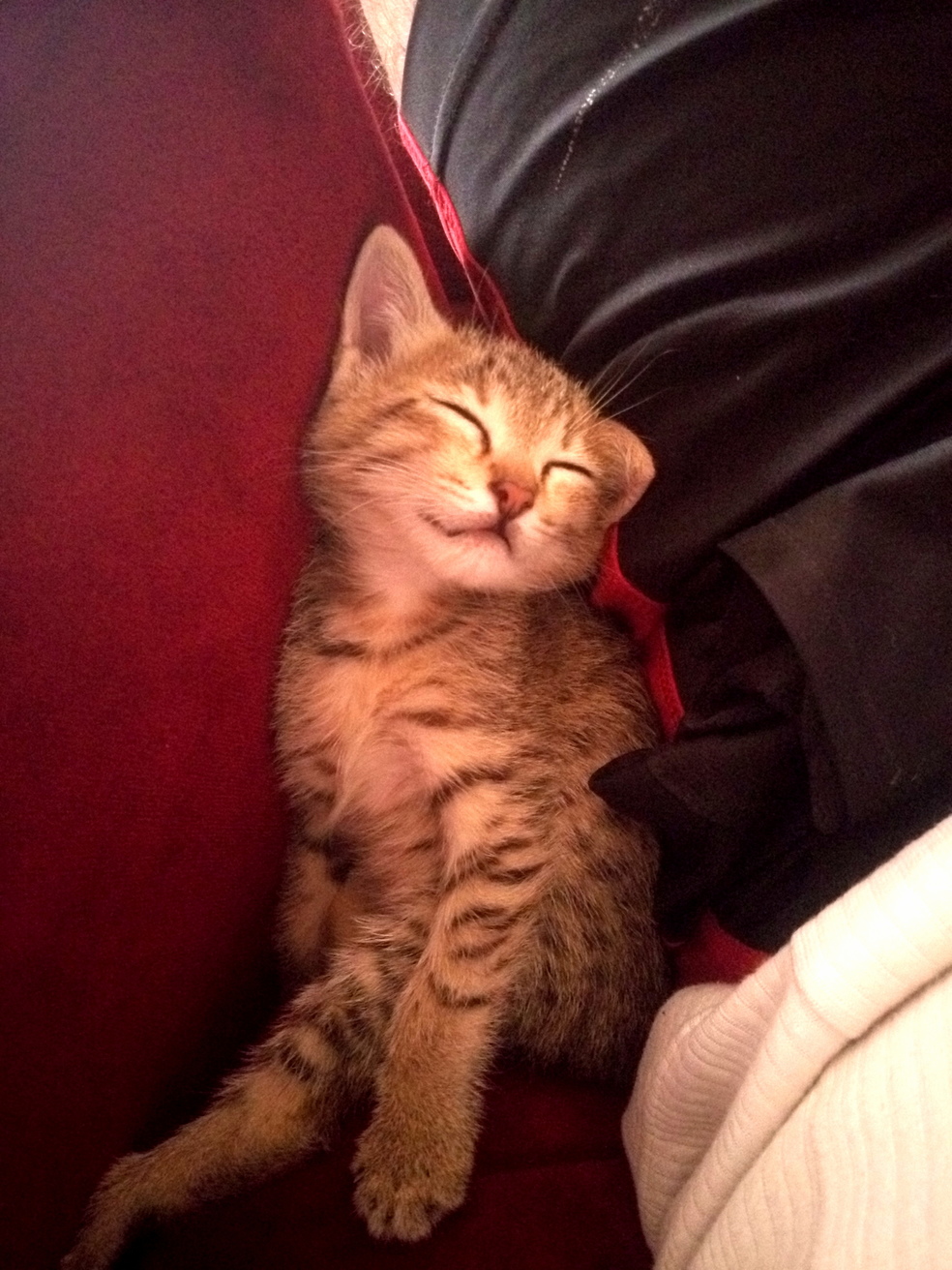 This Is Her After the First Week.