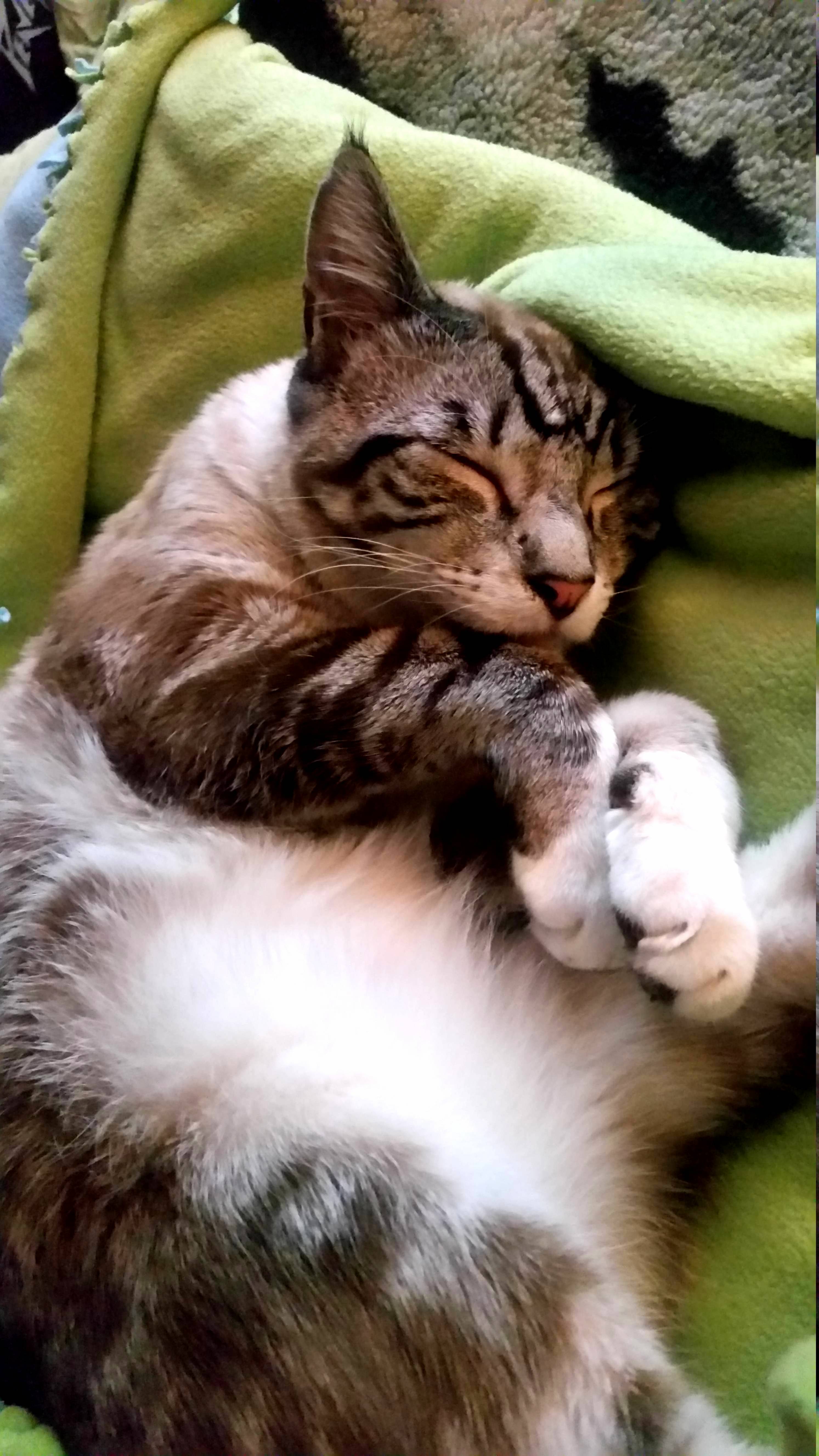 This Is How He Cuddles Himself