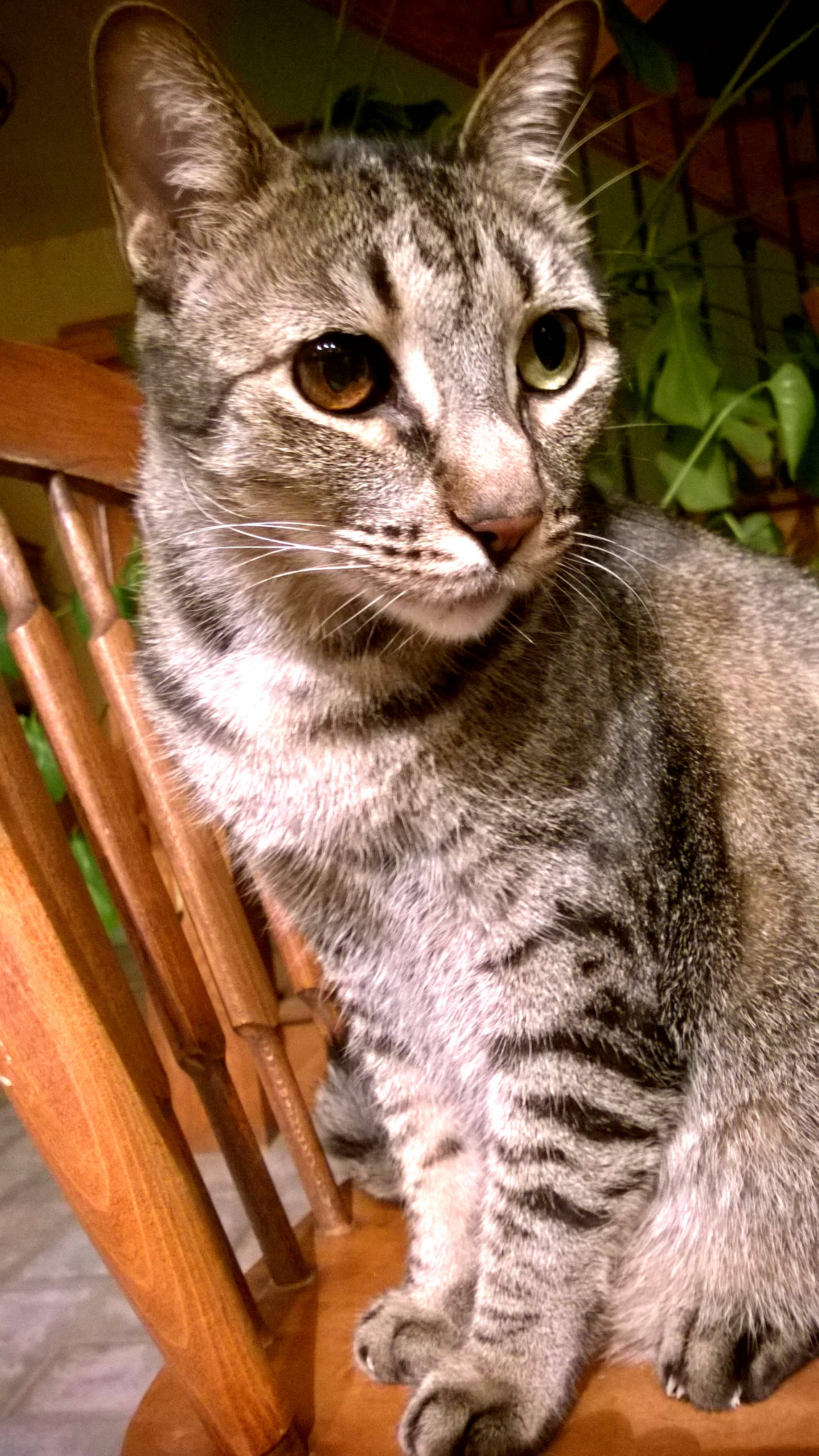 This Is Squirt and His Eyes Are Fantastic
