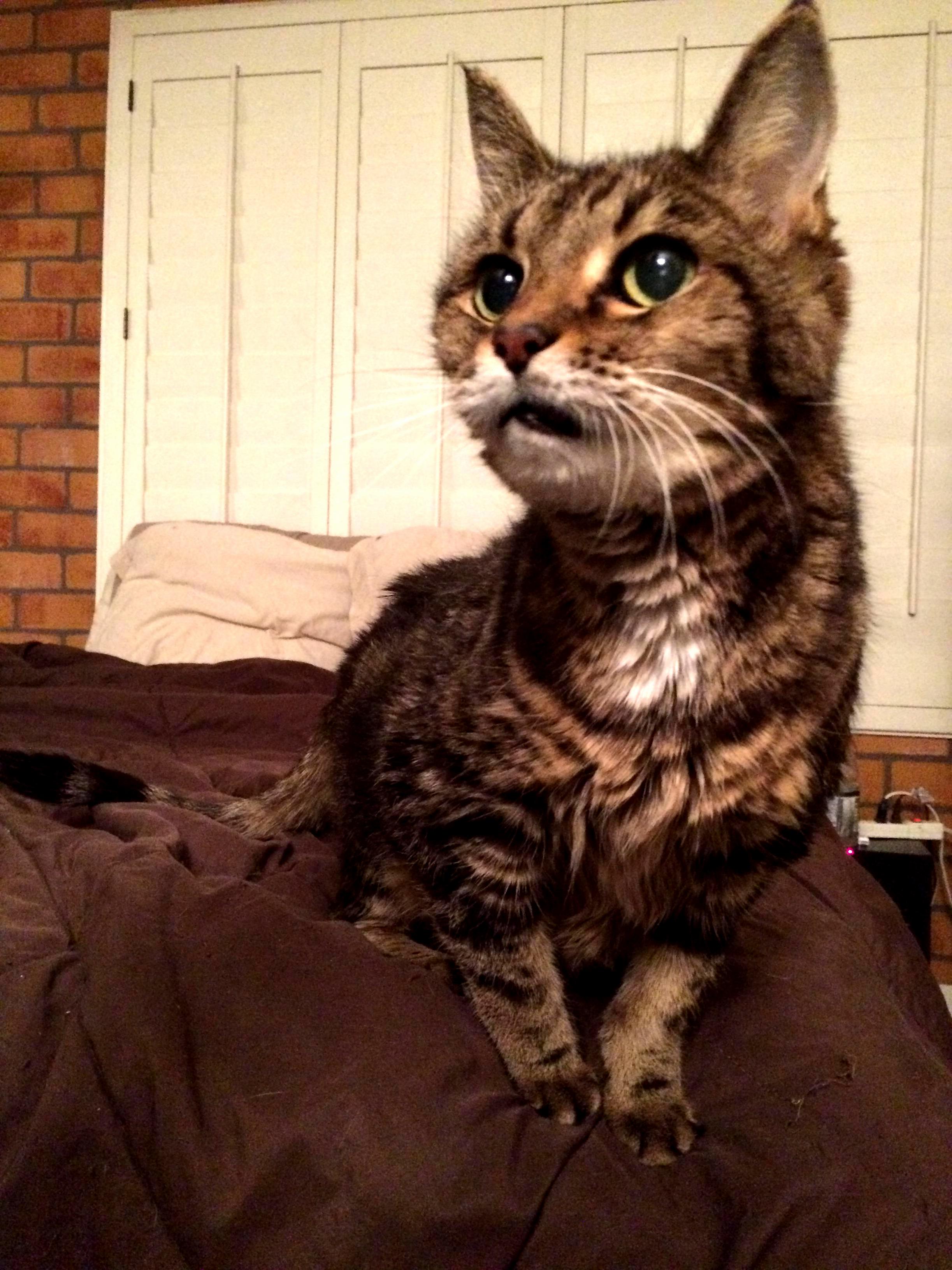 This Little Guy Just Turned 19 Years Old